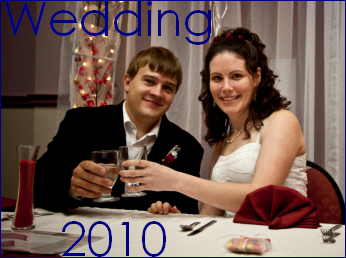 Aaron & Lisa's Wedding 2010