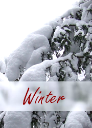 Winter Photo Gallery